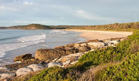 Burrawang Track - Conjola Beach To Buckleys Point - Maitland Accommodation 0