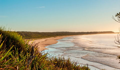 Burrawang Track - Conjola Beach To Buckleys Point - Maitland Accommodation 2