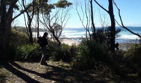 Monument Beach Picnic Area - Maitland Accommodation 2