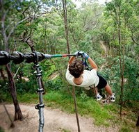 TreeTop Challenge - Maitland Accommodation