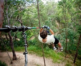 TreeTop Challenge - Maitland Accommodation 0