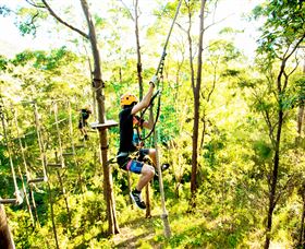 TreeTop Challenge - Maitland Accommodation 3