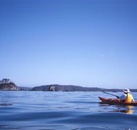 Kayaking Batemans Bay - Maitland Accommodation
