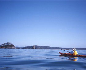 Kayaking Batemans Bay - Maitland Accommodation 0