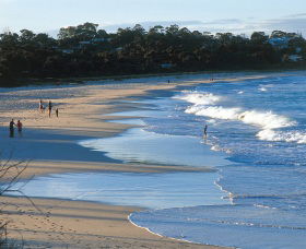 Mollymook Beach - Maitland Accommodation 1