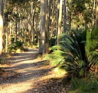 Square Head track 2 - Maitland Accommodation