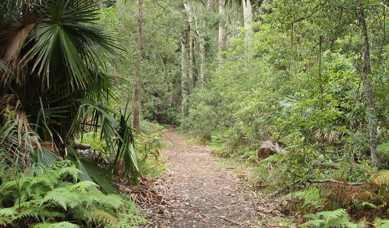 East Lynne NSW Maitland Accommodation