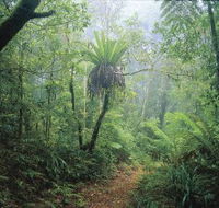 Wagawn - Maitland Accommodation