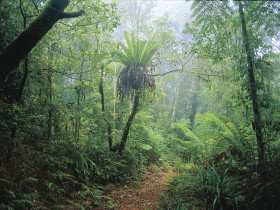 Wagawn - Maitland Accommodation 0