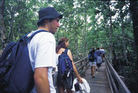 Wagawn - Maitland Accommodation 1