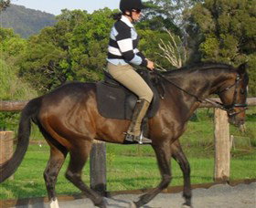 Kings Creek Saddle Club - Maitland Accommodation 6