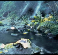 Coomera circuit - Maitland Accommodation