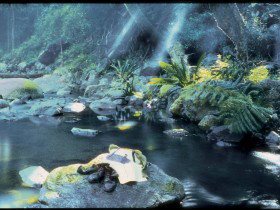 Coomera Circuit - Maitland Accommodation 0