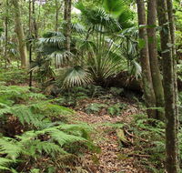 Durras Lake Discovery trail - Maitland Accommodation