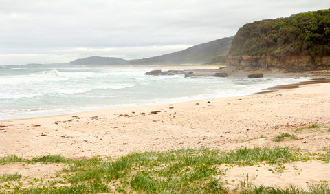 Pretty Beach To Durras Mountain Walking Track - Maitland Accommodation 1