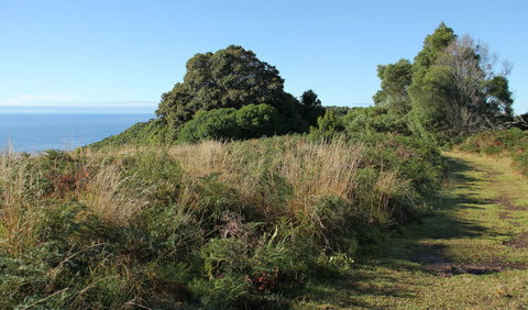 Pretty Beach To Durras Mountain Walking Track - Maitland Accommodation 2