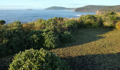 Pretty Beach To Durras Mountain Walking Track - Maitland Accommodation 3