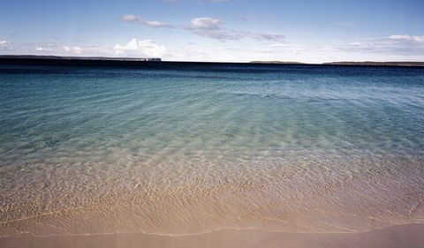 Hyams Beach Trail - Maitland Accommodation 0