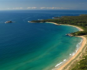 Cookies Beach Picnic Area - South Durras - Maitland Accommodation 0