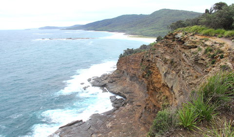 Pretty Beach To Snapper Point Walking Track - Maitland Accommodation 1