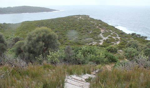 Pretty Beach To Snapper Point Walking Track - Maitland Accommodation 2