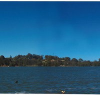 Cable Ski Logan - Maitland Accommodation