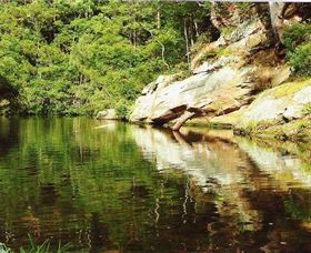 Numinbah Valley Adventure Trails - Maitland Accommodation 1