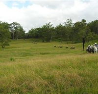 Numinbah Valley Adventure Trails - Maitland Accommodation