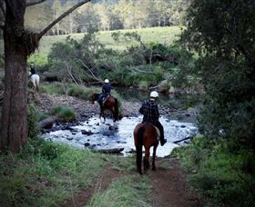 Numinbah Valley Adventure Trails - Maitland Accommodation 3