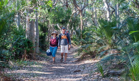 Myrtle Beach Walking Track - Maitland Accommodation 0
