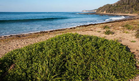 Richmond Beach - Maitland Accommodation 0