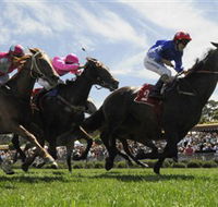 Moruya Racecourse - Maitland Accommodation