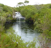 Booderee National Park Green Patch and Telegraph Creek Walking Tracks - Maitland Accommodation