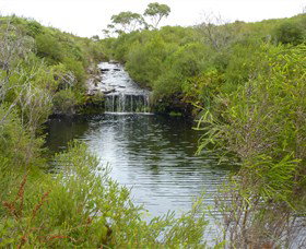 Booderee National Park: Green Patch And Telegraph Creek Walking Tracks - Maitland Accommodation 0