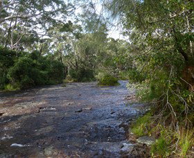 Booderee National Park: Green Patch And Telegraph Creek Walking Tracks - Maitland Accommodation 2