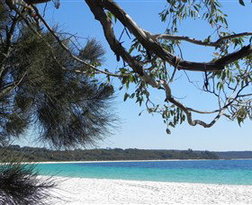 Booderee National Park: Green Patch And Telegraph Creek Walking Tracks - Maitland Accommodation 6