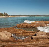 Shelly Beach Picnic Area - Moruya Heads - Maitland Accommodation