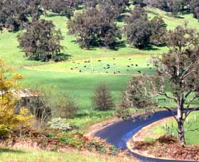 Blackwood River Tourist Drive - Maitland Accommodation 0