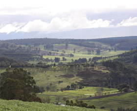 Blackwood River Tourist Drive - Maitland Accommodation 2