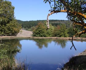 Oak Grove Walk, Balingup - Maitland Accommodation 0