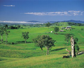 Bemboka - Maitland Accommodation 0