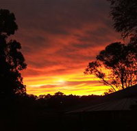 Tinonee Museum - Maitland Accommodation