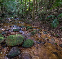 Starrs Creek picnic area - Maitland Accommodation