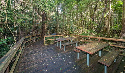Starrs Creek Picnic Area - Maitland Accommodation 1