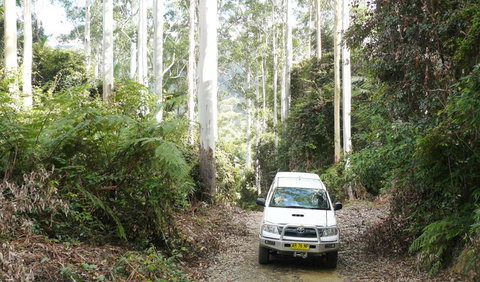 Bindarri National Park - Maitland Accommodation 2