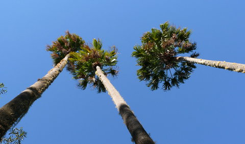 Bindarri National Park - Maitland Accommodation 0