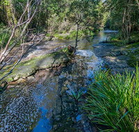 Dawson River walking track - Maitland Accommodation