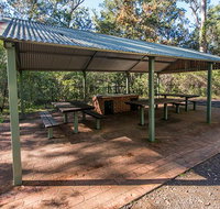 Brimbin picnic area - Maitland Accommodation