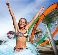Wet'n'Wild Gold Coast - Maitland Accommodation