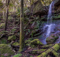 Coorabakh National Park - Maitland Accommodation